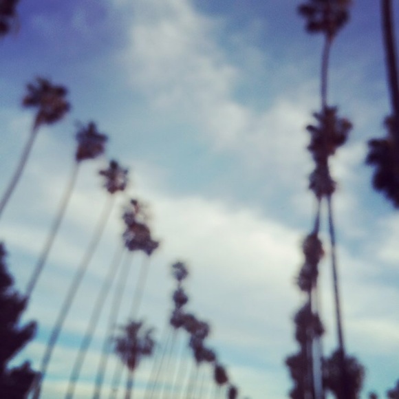 Meet Your Posher - Picture 7 of 7